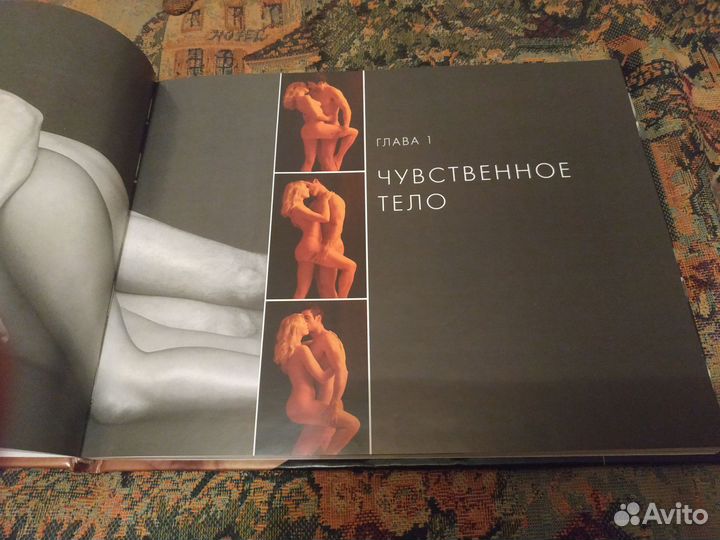 Реальная камасутра. Николь Бейли