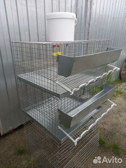 Клетки для перепелов