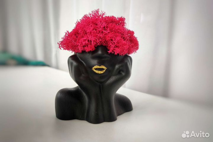 Кашпо со стабилизированным мхом