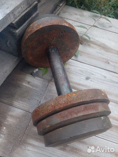 Гантеля разборная 10кг