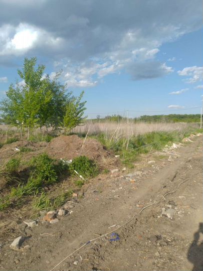 Участок 10,6 сот. (СНТ, ДНП)