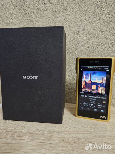 Sony wm1z