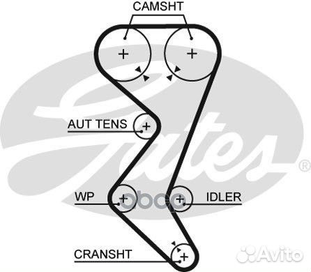 5528XS ремень грм 153x250 Citroen C4/C5, Peuge