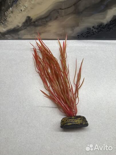 Аквариум 7 литров