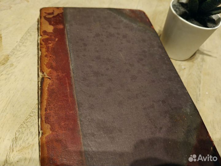 A group of noble Dames 1891 Thomas Hardy