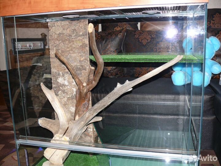 Террариум для рептилий