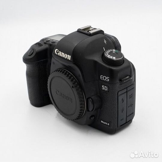 Зеркальный фотоаппарат Canon EOS 5D Mark II Body