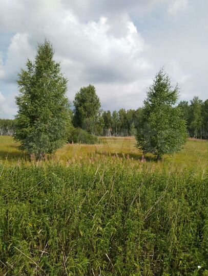 Участок 12 сот. (ИЖС)