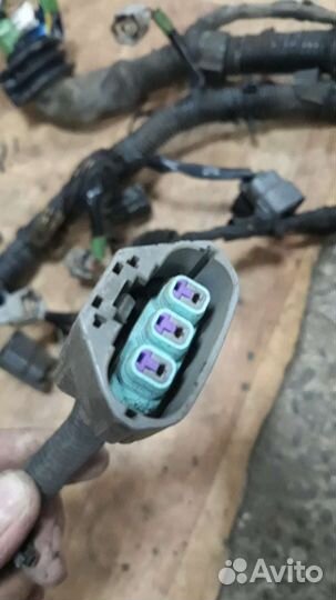 Разъем катушки зажигания nissan almera n16