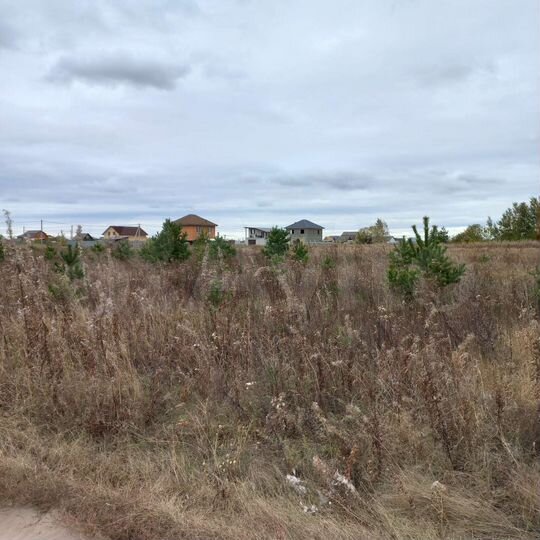 Участок 17 сот. (СНТ, ДНП)