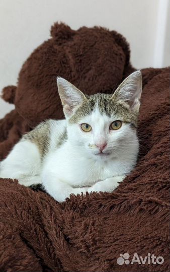 Спасенная малышка из автосервиса нуждается в доме