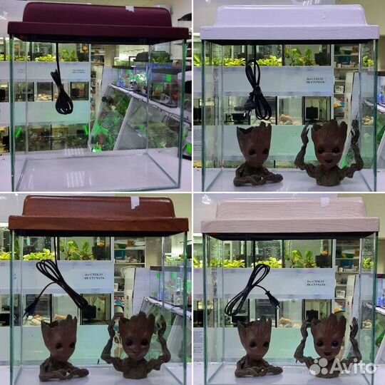 Аквариумы от 4л до 200л