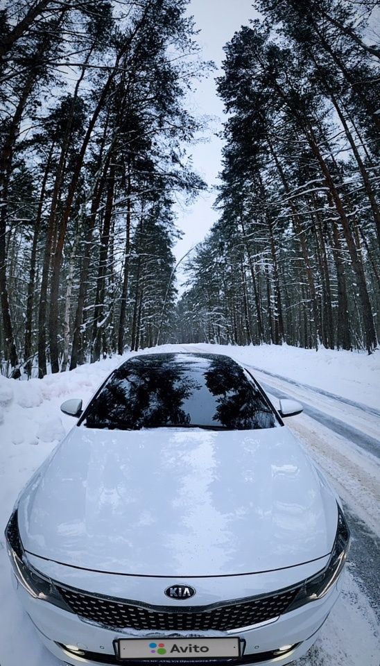 Kia Optima: фото владельца