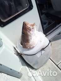 Морские прогулки,рыбалка