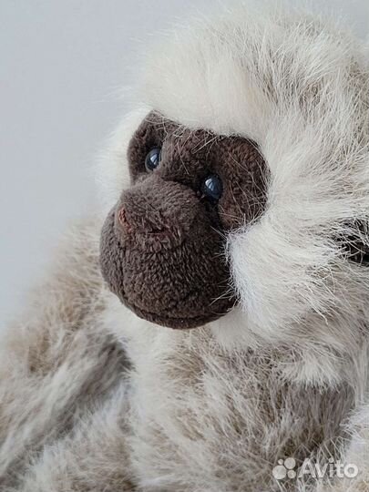 Обезьяна (Великобритания)