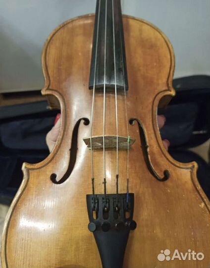 Скрипка 1/2