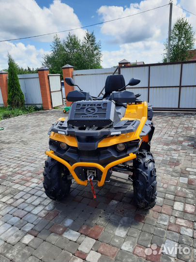 Стелс гепард