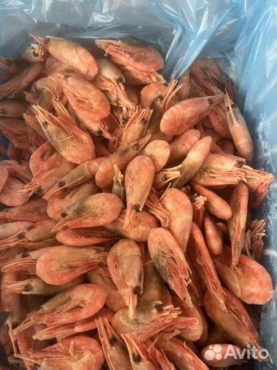 Креветки северные 90/120