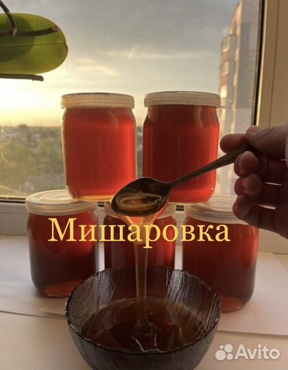 Свежий мед 2023 Мишаровка