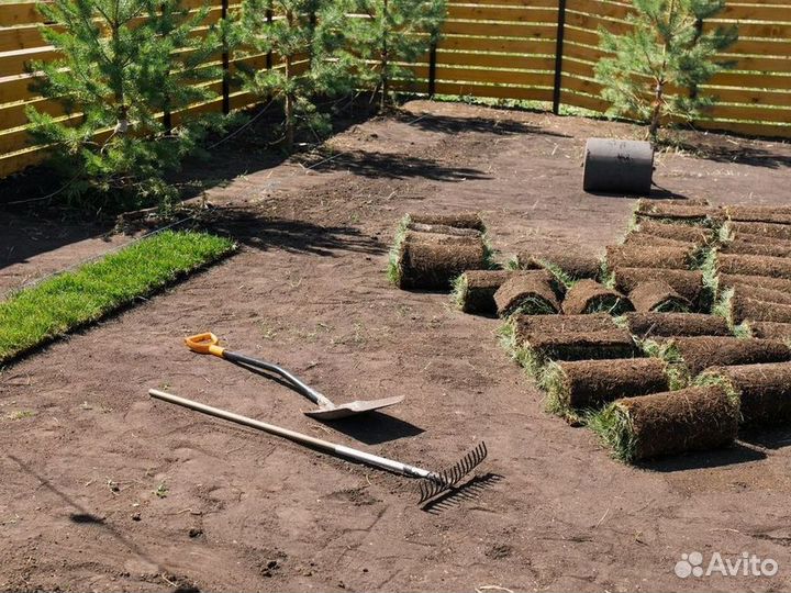 Продажа рулонного газона под ключ