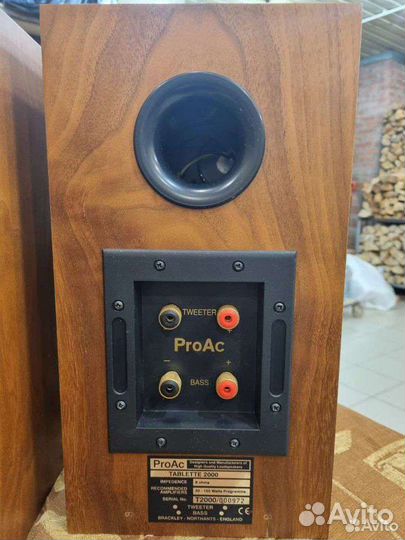 Акустика ProAc Tablette 2000