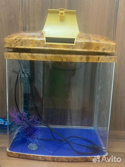 Аквариум