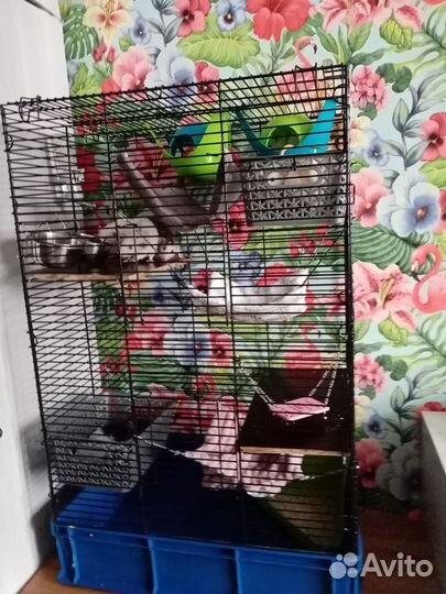 Клетка для грызунов