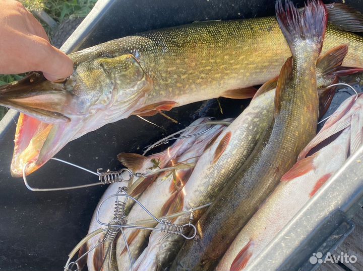 Отдых Рыбалка и Охота