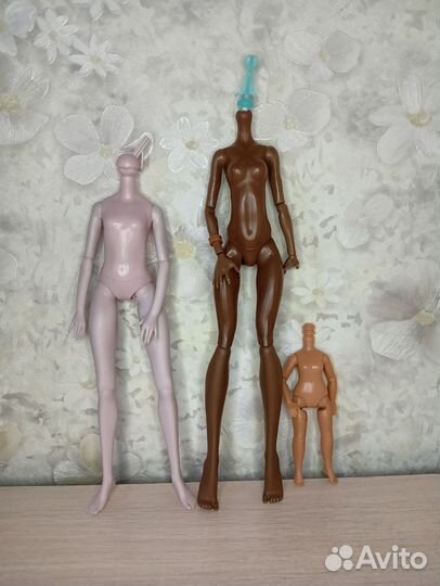 Тела для кукол