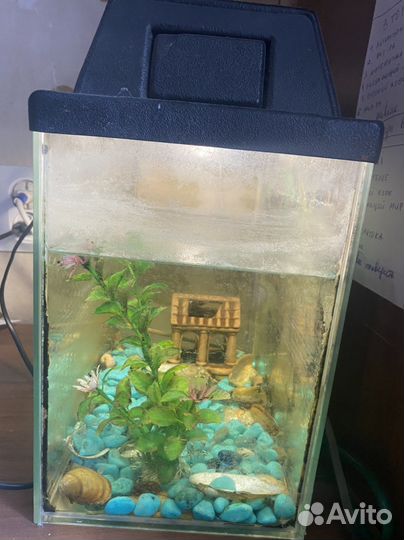 Аквариум с подсветкой