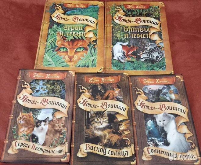 Коты-воители