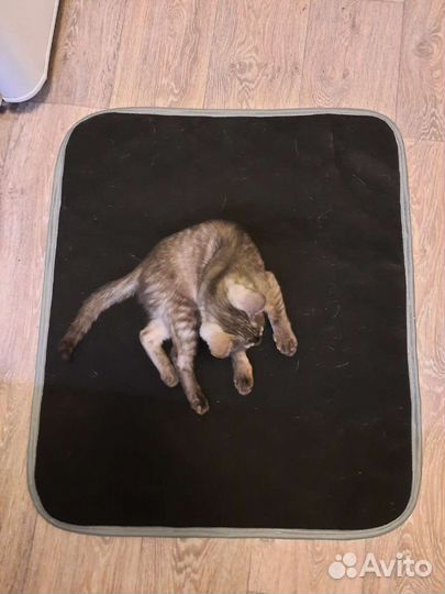 Пеленка 60 на70 для собак многоразовая