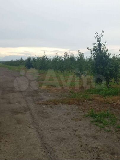 Участок 16,5 га (СНТ, ДНП)