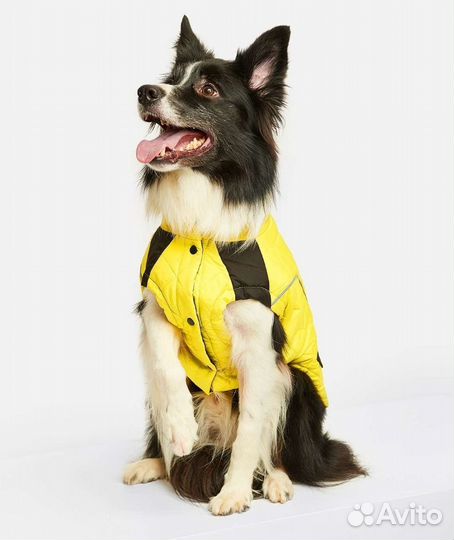 Одежда для крупных собак