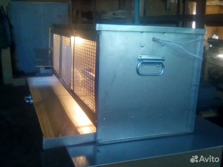 Брудера для цыплят