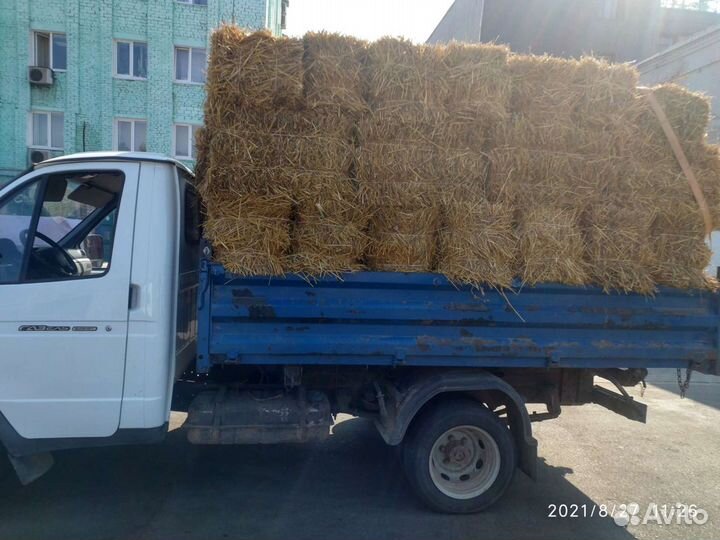 Солома в тюках