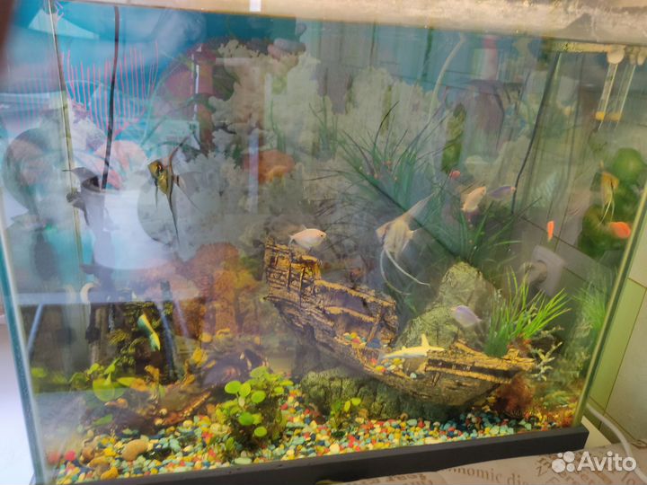 Аквариум на 150 литров