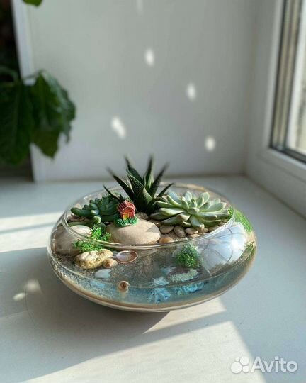 Флорариум с суккулентами и имитацией озера