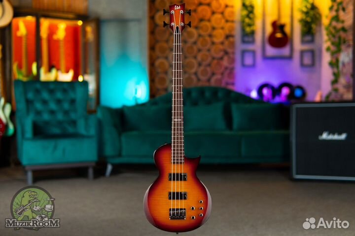 ESP LTD EC-154 DX TSB