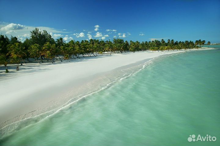 Увлекательные туры по всему миру