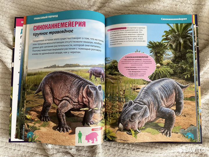 Детские книги энциклопедии про динозавров
