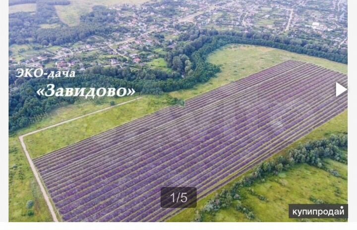 Участок 43 га (СНТ, ДНП)