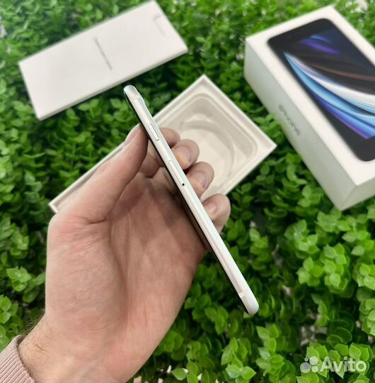 iPhone SE (2020), 64 ГБ