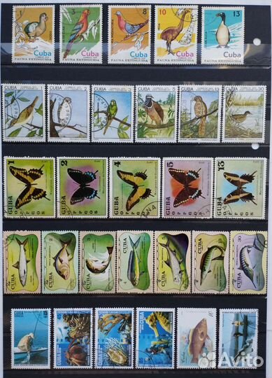 Куба. Фауна. 49 марок, начиная с 1969 года