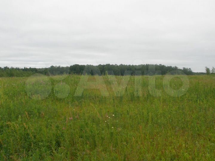 Участок 11,8 га (СНТ, ДНП)