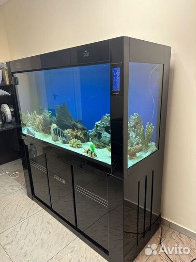 Аквариум cleair