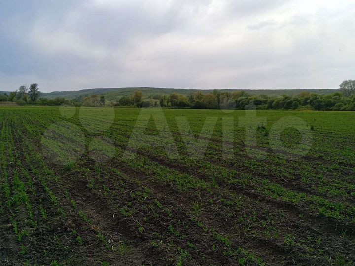 Участок 2,83 га (СНТ, ДНП)