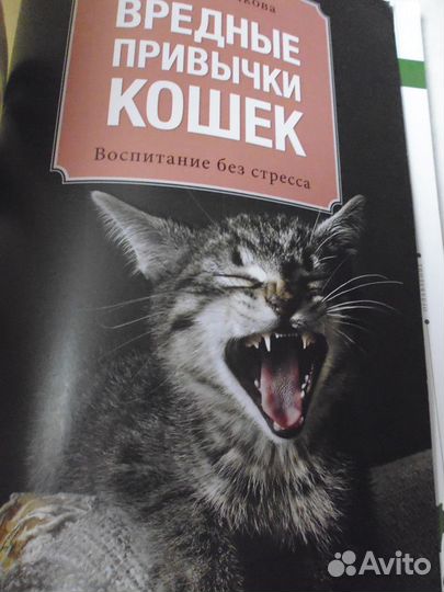 Книги про кошек