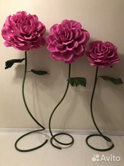 Аренда ростовых цветов, ростовые цветы, фотозона с