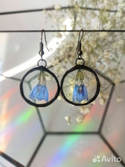 Серьги из стекла с гербарием